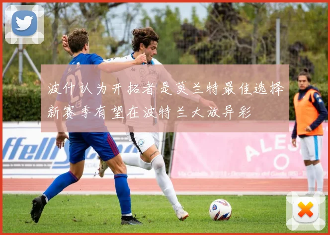 波什认为开拓者是莫兰特最佳选择新赛季有望在波特兰大放异彩