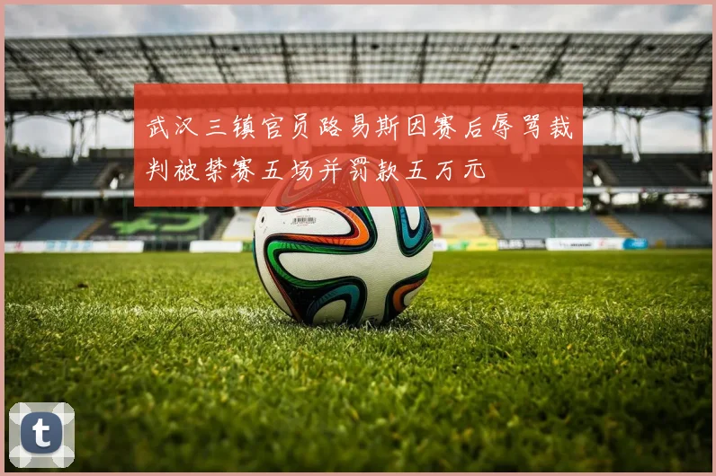 武汉三镇官员路易斯因赛后辱骂裁判被禁赛五场并罚款五万元